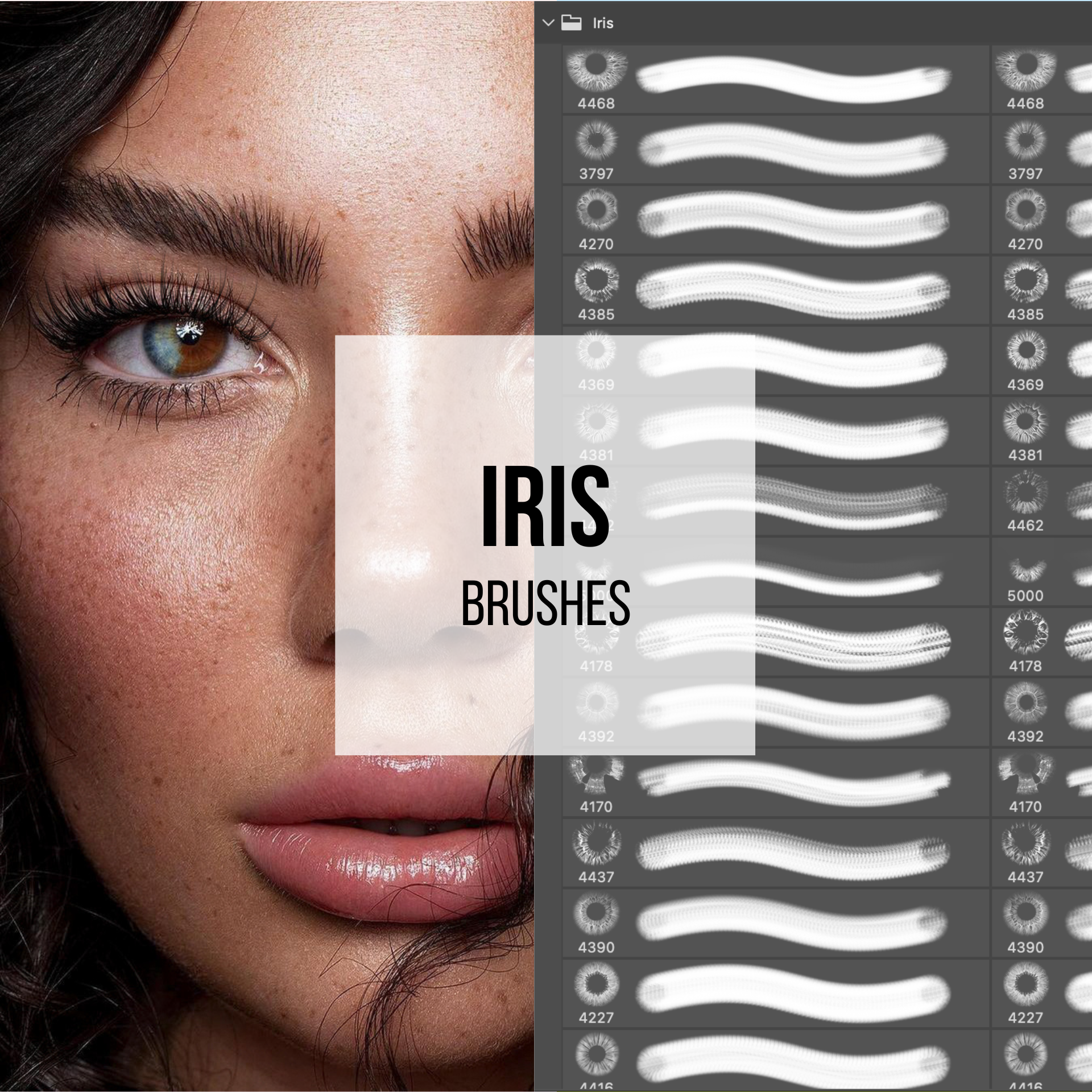 Iris Photoshop Brushes