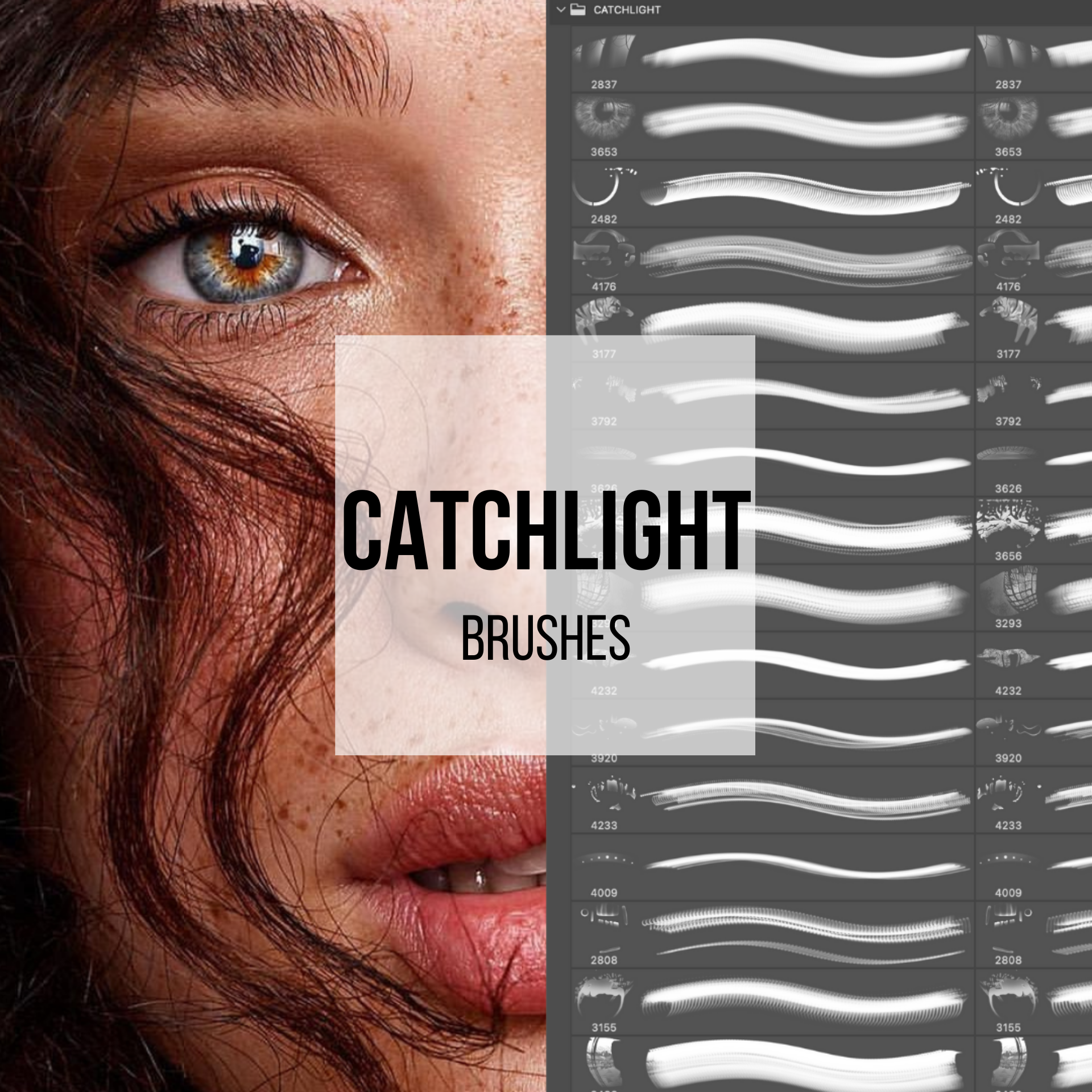 Catchlight Photoshop Brushes